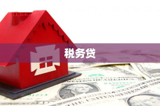 川汇税务贷