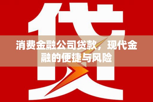 川汇消费金融公司贷款，现代金融的便捷与风险