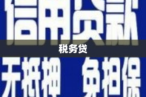 川汇税务贷