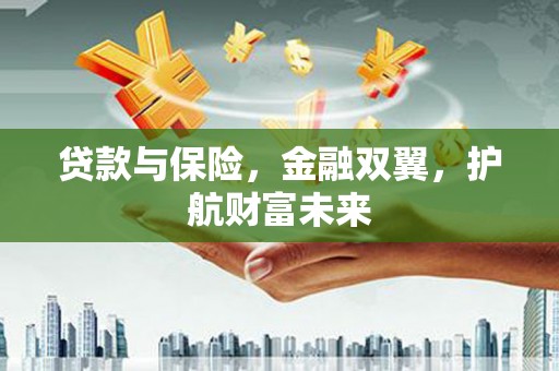 川汇贷款与保险，金融双翼，护航财富未来