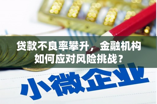 川汇贷款不良率攀升，金融机构如何应对风险挑战？
