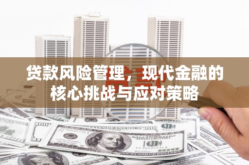 川汇贷款风险管理，现代金融的核心挑战与应对策略