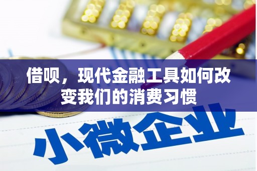 川汇借呗，现代金融工具如何改变我们的消费习惯
