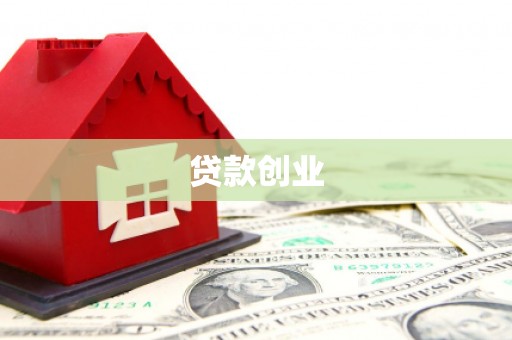 川汇贷款创业