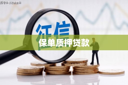 川汇保单质押贷款