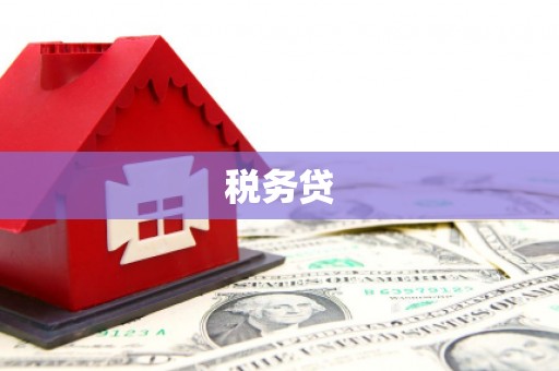 川汇税务贷