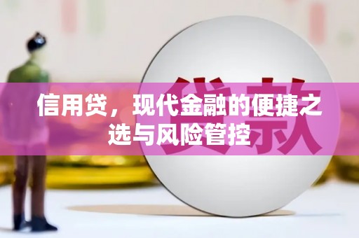 川汇信用贷，现代金融的便捷之选与风险管控
