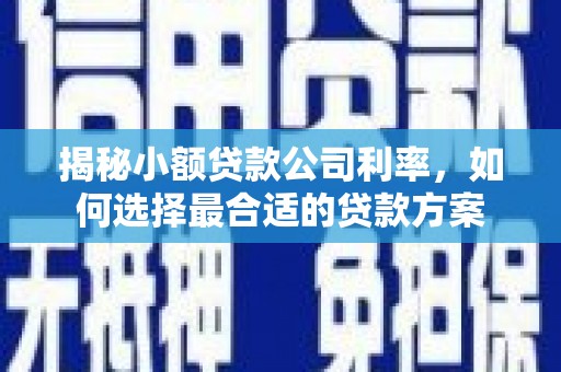 川汇揭秘小额贷款公司利率，如何选择最合适的贷款方案