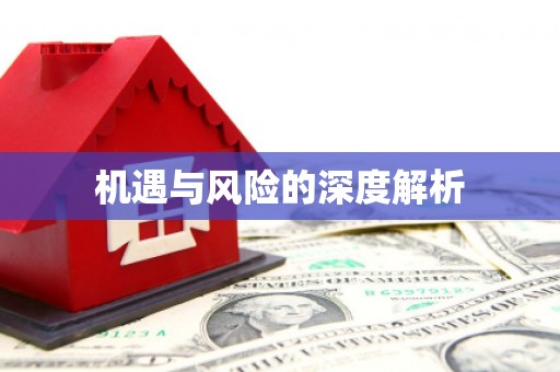 川汇机遇与风险的深度解析