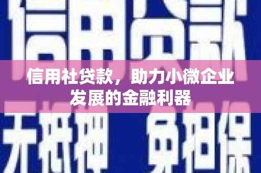 川汇信用社贷款，助力小微企业发展的金融利器