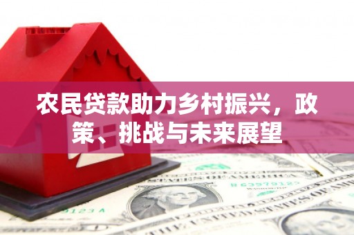 川汇农民贷款助力乡村振兴，政策、挑战与未来展望