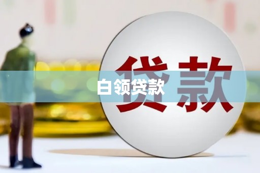 川汇白领贷款