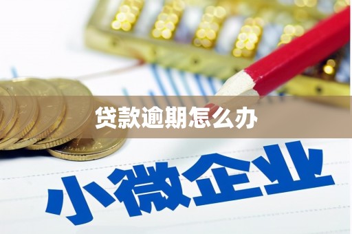 川汇贷款逾期怎么办