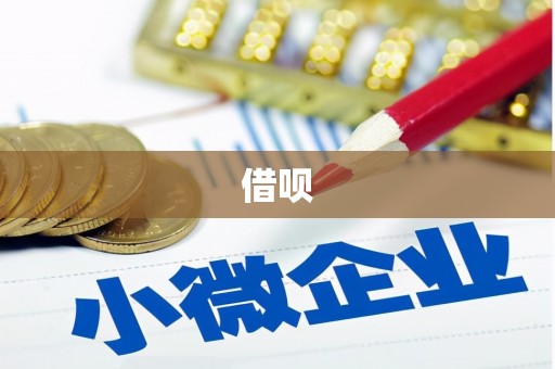 川汇借呗