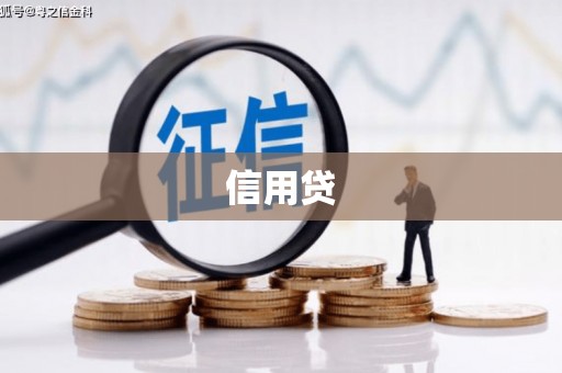 川汇信用贷