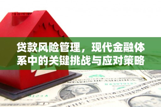 川汇贷款风险管理，现代金融体系中的关键挑战与应对策略