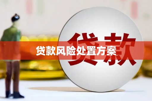 川汇贷款风险处置方案