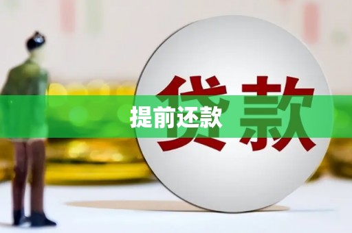 川汇提前还款