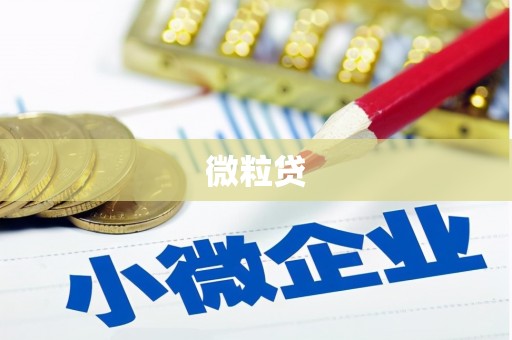 川汇微粒贷