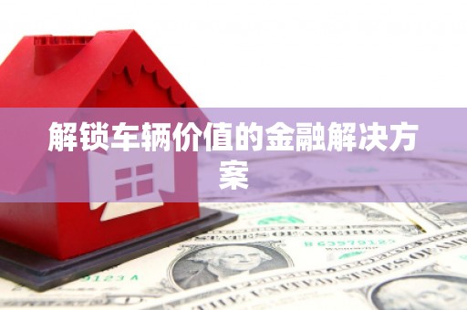川汇解锁车辆价值的金融解决方案