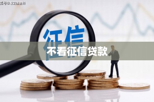 川汇不看征信贷款