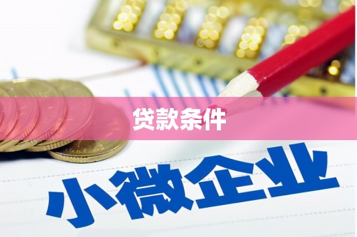 川汇贷款条件