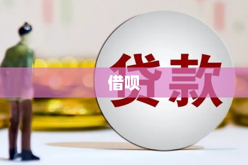 川汇借呗