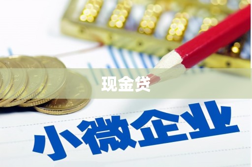 川汇现金贷