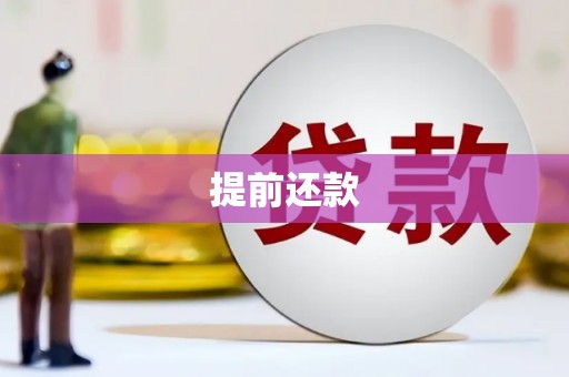 川汇提前还款