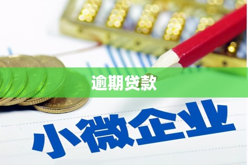 川汇逾期贷款