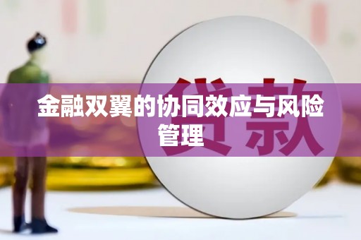 川汇金融双翼的协同效应与风险管理