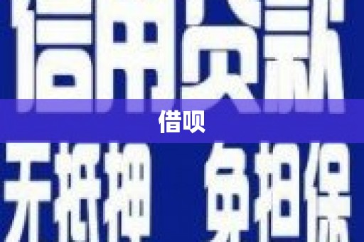 川汇借呗