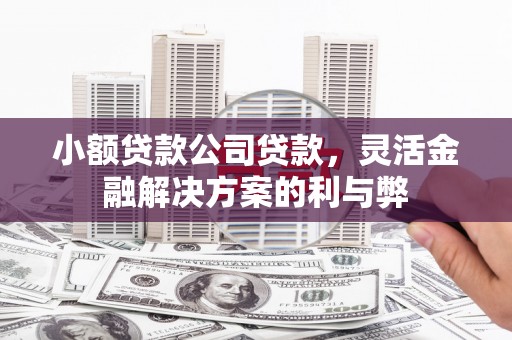 川汇小额贷款公司贷款，灵活金融解决方案的利与弊