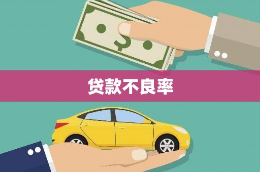 川汇贷款不良率