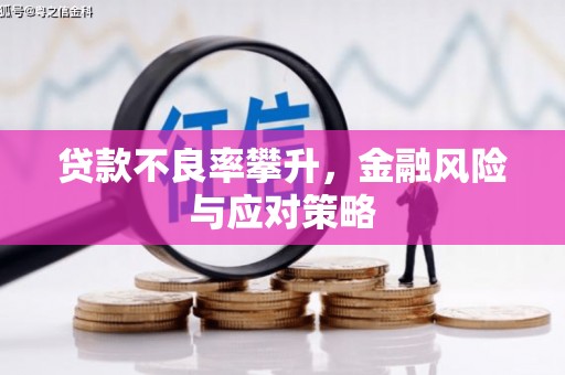 川汇贷款不良率攀升，金融风险与应对策略