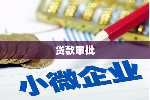 川汇贷款审批